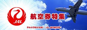 JAL����Ҷ����ý�